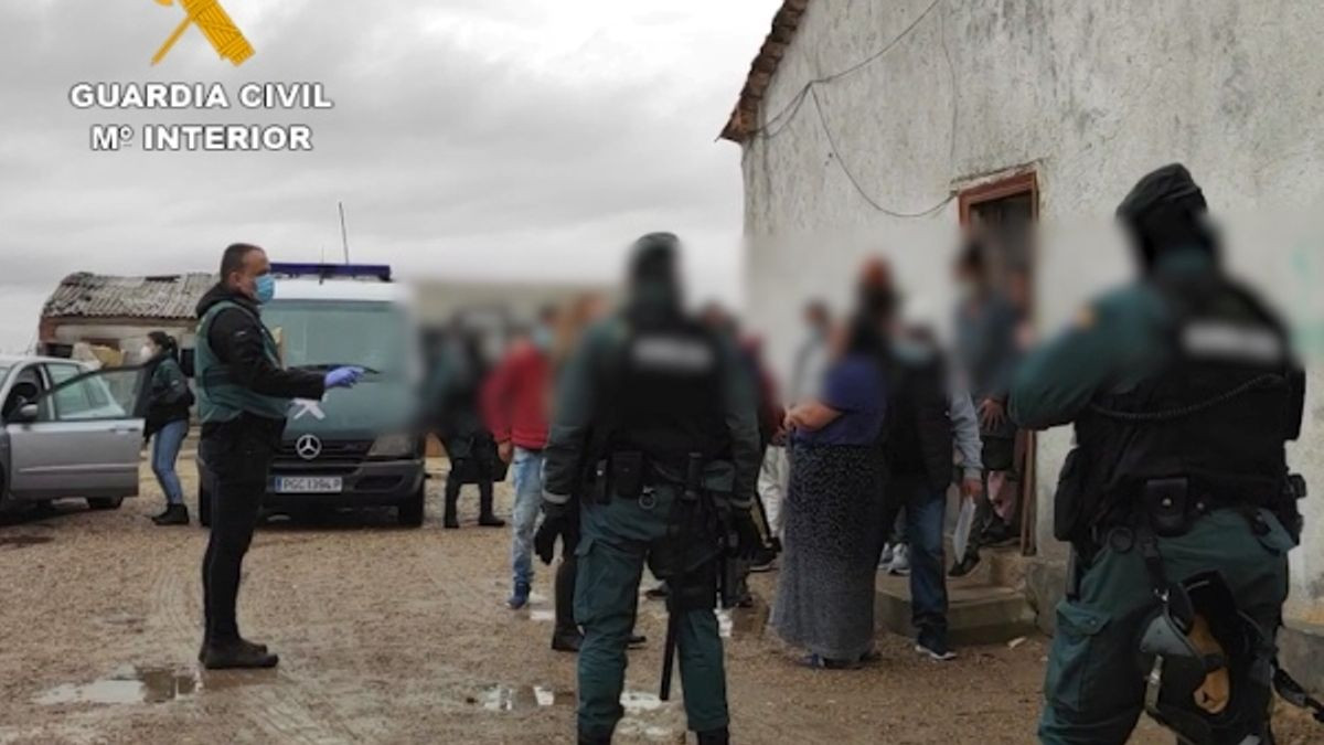 La Guardia Civil Desarticula En Zamora Una Red De Trata De Seres