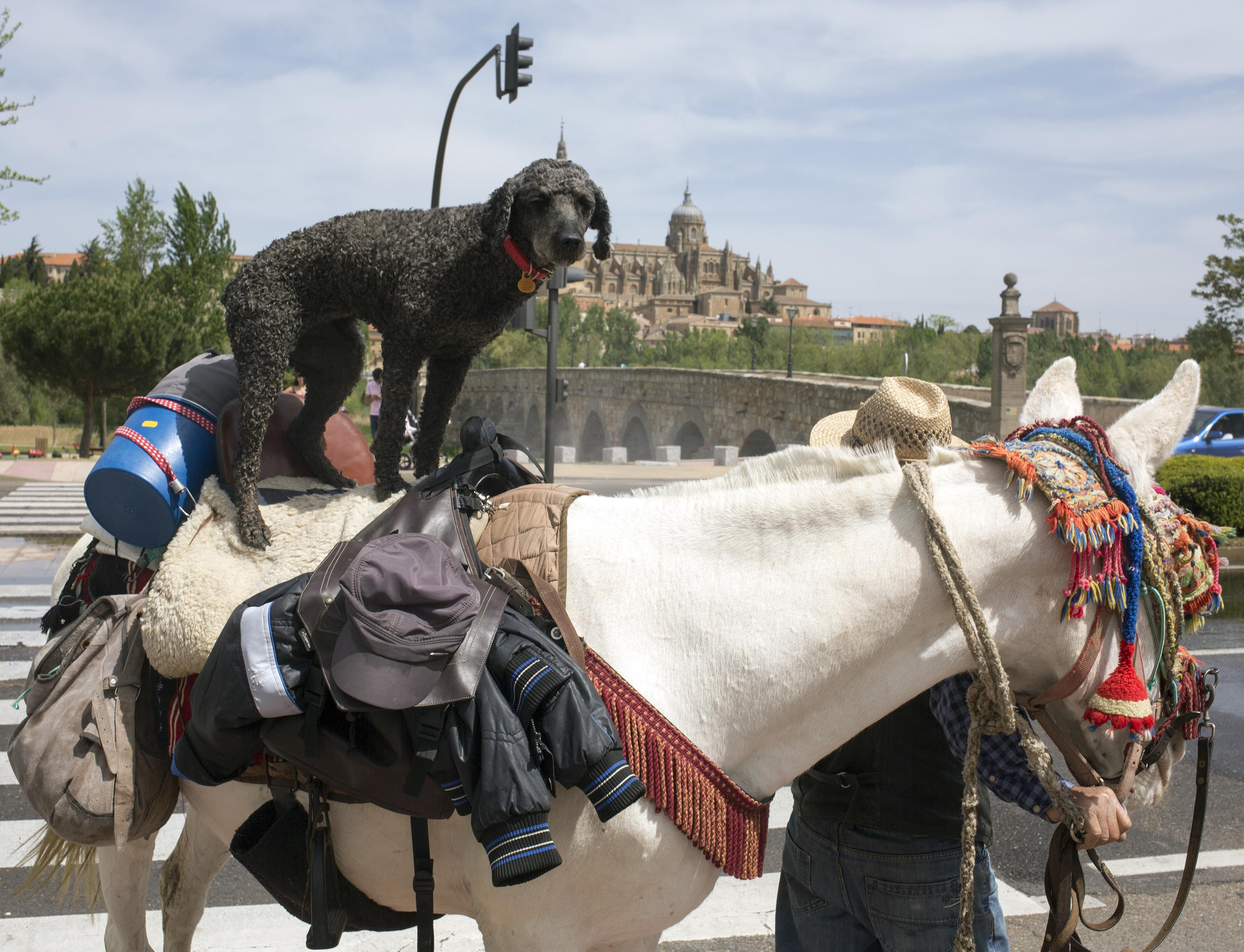 Constituida la Federación de los Caminos Históricos y Tradicionales de