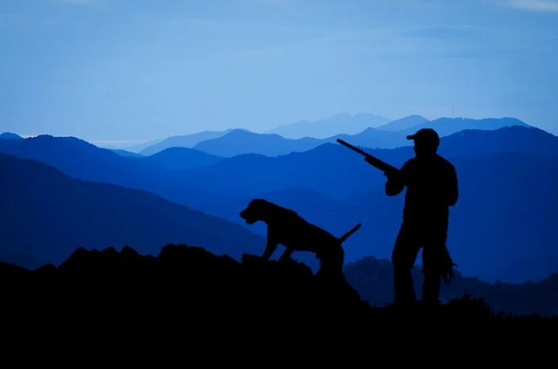 silueta de perro de caza de aves