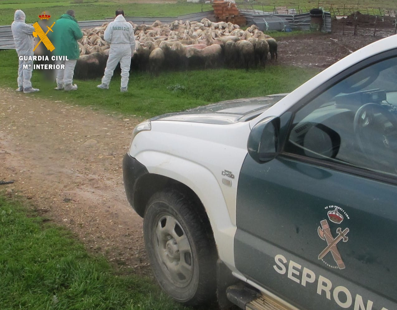 La Guardia Civil De Zamora Detiene A Una Persona Como Supuesta Autora