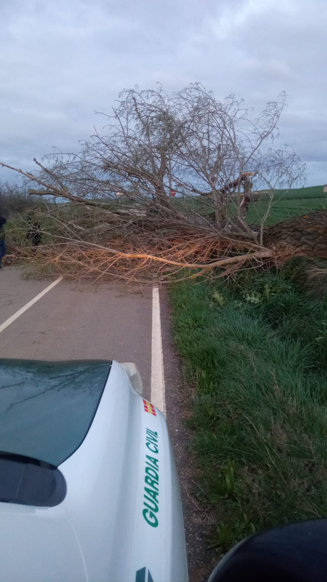 Las Fuertes Rachas De Viento Y Lluvia Dejan Varios Incidentes En La